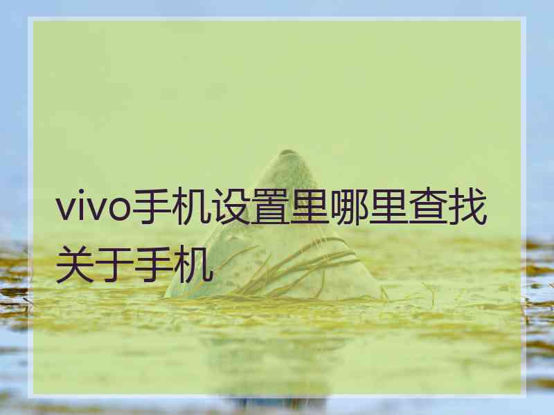 vivo手机设置里哪里查找关于手机