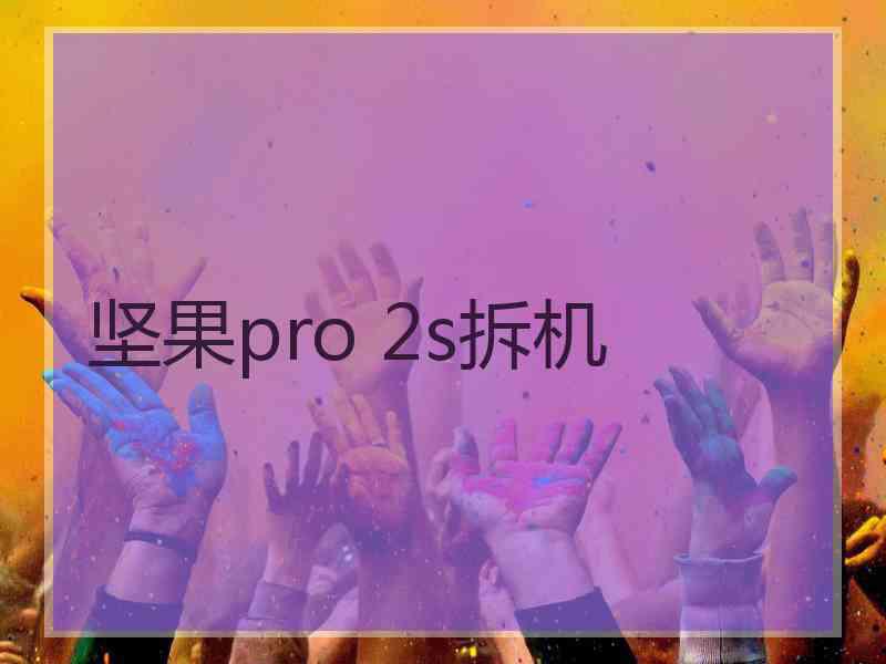 坚果pro 2s拆机