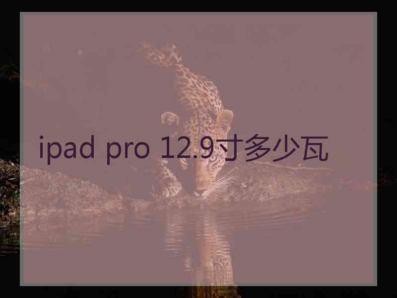 ipad pro 12.9寸多少瓦