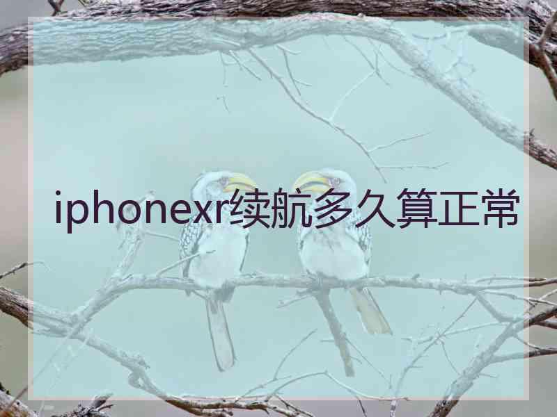 iphonexr续航多久算正常