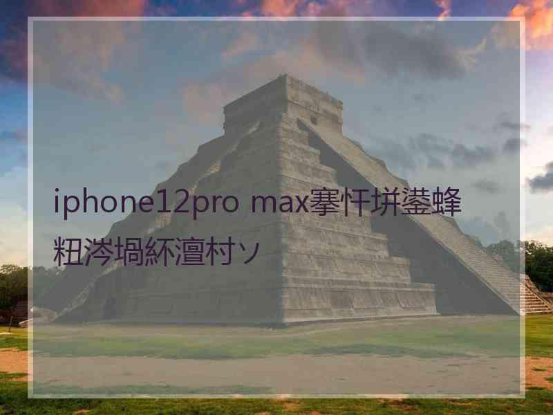 iphone12pro max搴忓垪鍙蜂粈涔堝紑澶村ソ