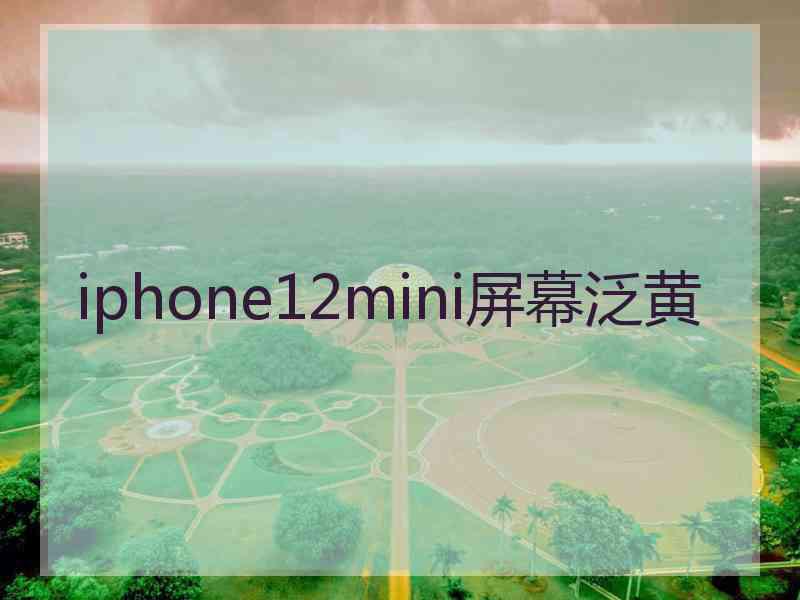 iphone12mini屏幕泛黄