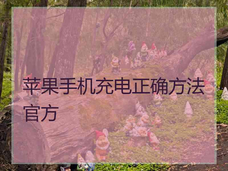 苹果手机充电正确方法官方