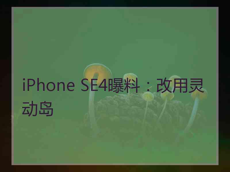 iPhone SE4曝料：改用灵动岛