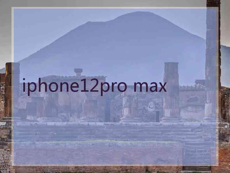 iphone12pro max