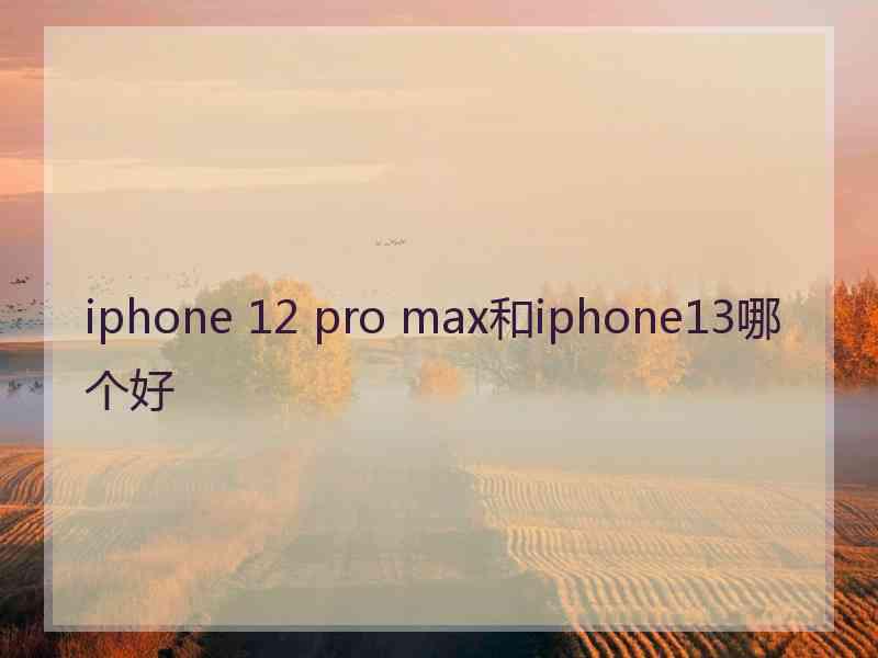 iphone 12 pro max和iphone13哪个好