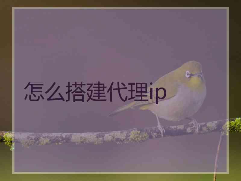 怎么搭建代理ip