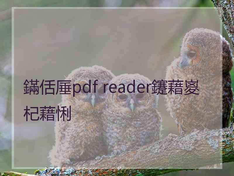 鏋佸厜pdf reader鑳藉嵏杞藉悧