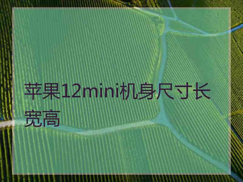 苹果12mini机身尺寸长宽高