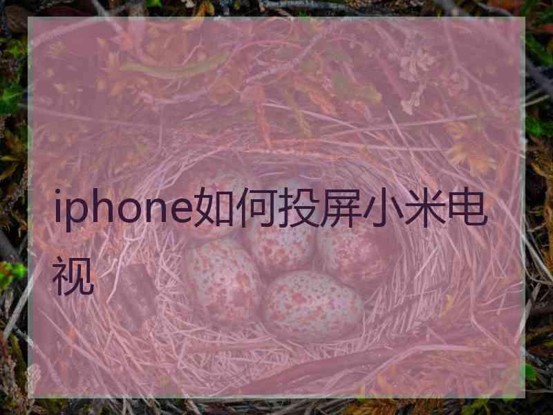 iphone如何投屏小米电视