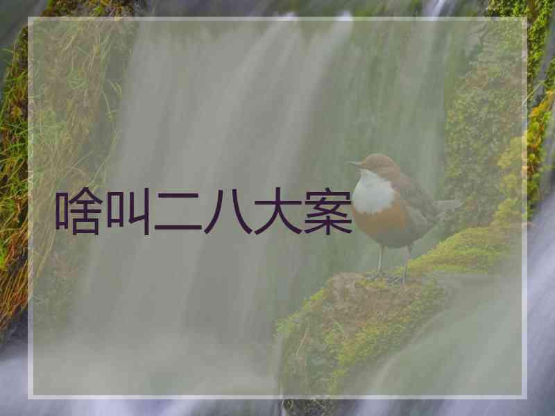啥叫二八大案