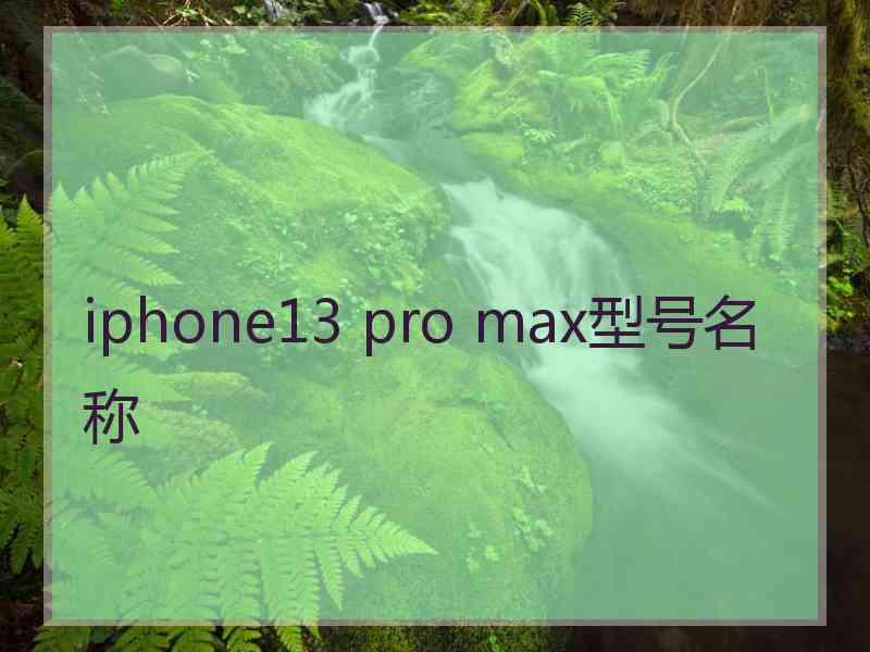 iphone13 pro max型号名称