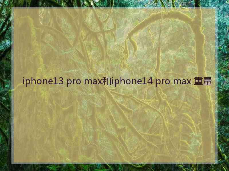 iphone13 pro max和iphone14 pro max 重量