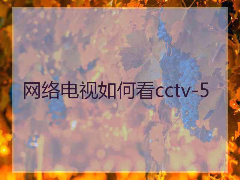 网络电视如何看cctv-5