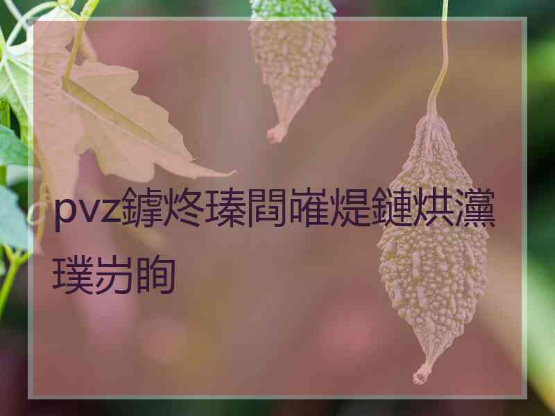 pvz鎼炵瑧閰嶉煶鏈烘灙璞岃眴