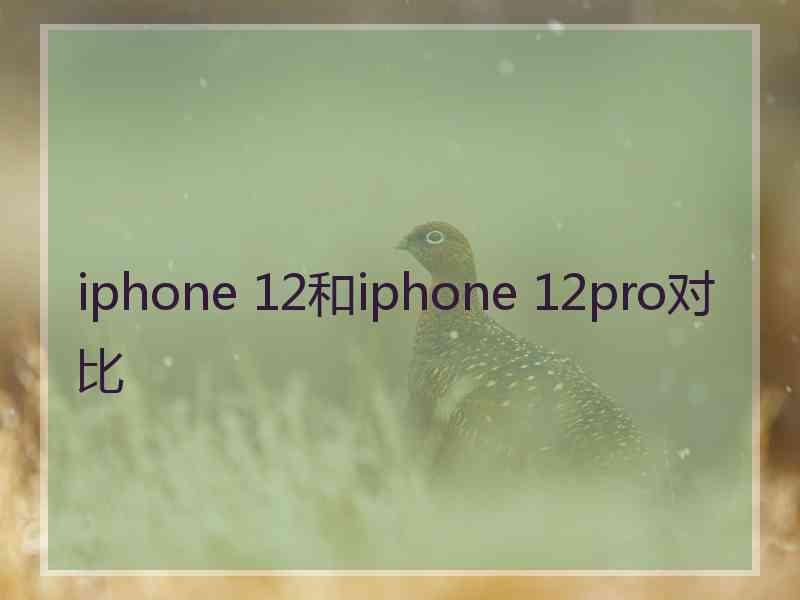 iphone 12和iphone 12pro对比