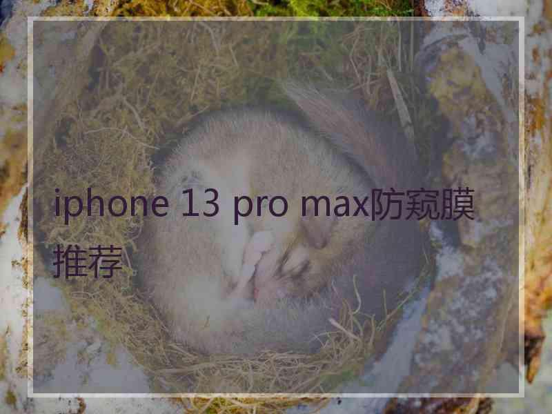 iphone 13 pro max防窥膜推荐