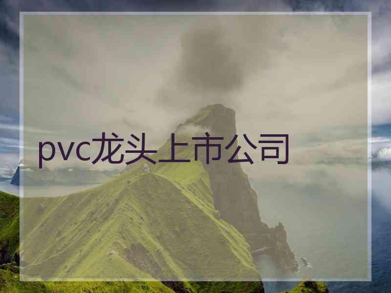 pvc龙头上市公司