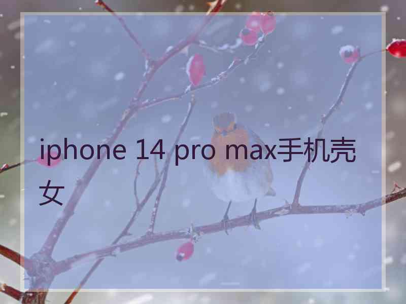 iphone 14 pro max手机壳女