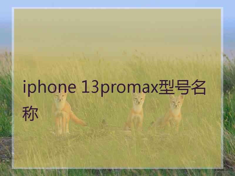 iphone 13promax型号名称