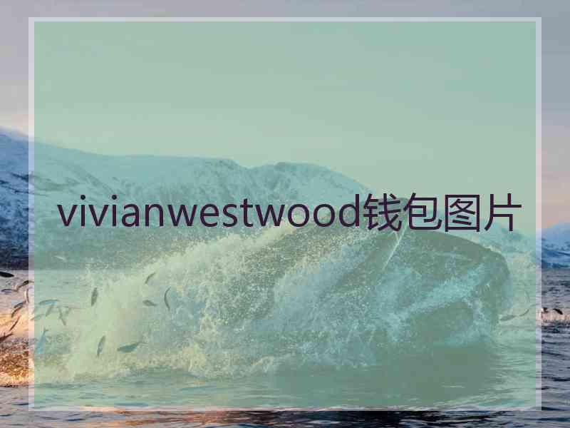 vivianwestwood钱包图片