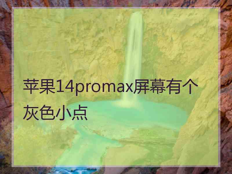 苹果14promax屏幕有个灰色小点