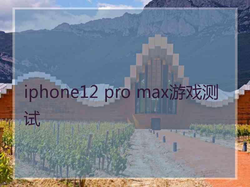 iphone12 pro max游戏测试