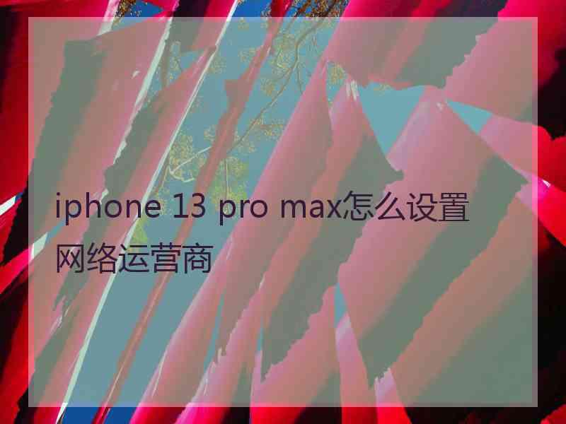 iphone 13 pro max怎么设置网络运营商