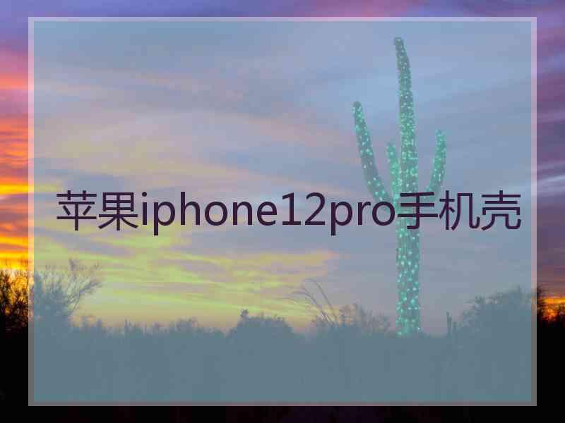 苹果iphone12pro手机壳