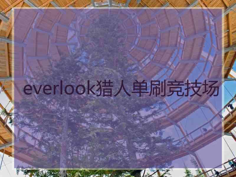 everlook猎人单刷竞技场