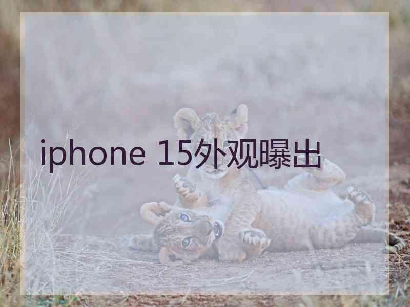 iphone 15外观曝出