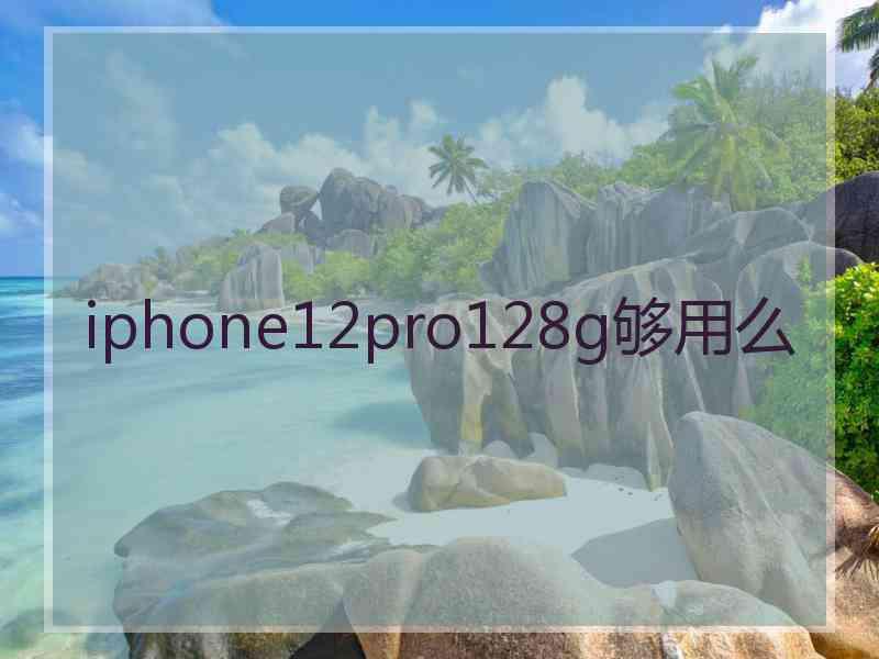 iphone12pro128g够用么