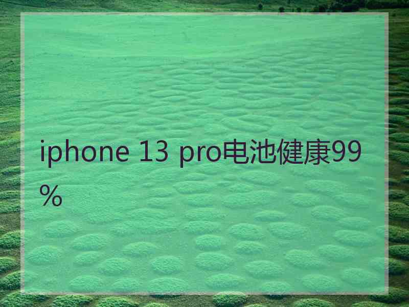 iphone 13 pro电池健康99%