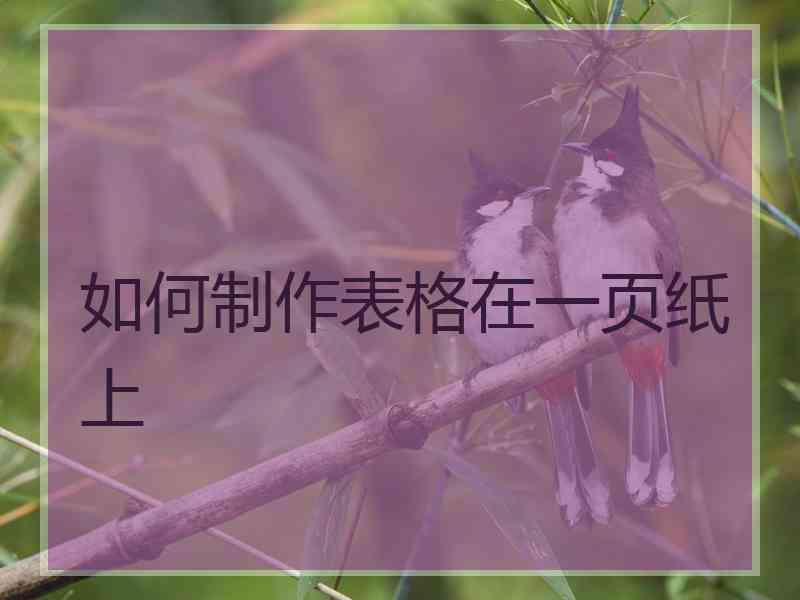 如何制作表格在一页纸上