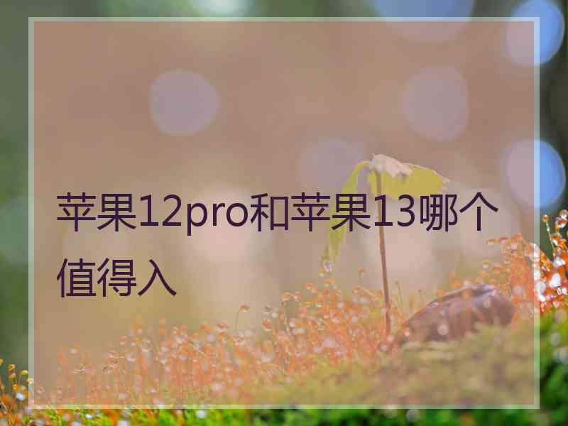 苹果12pro和苹果13哪个值得入