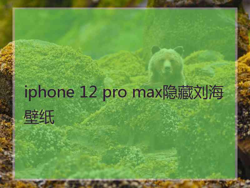 iphone 12 pro max隐藏刘海壁纸