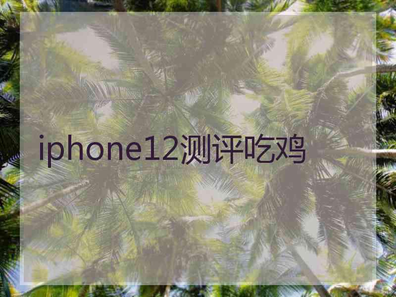 iphone12测评吃鸡