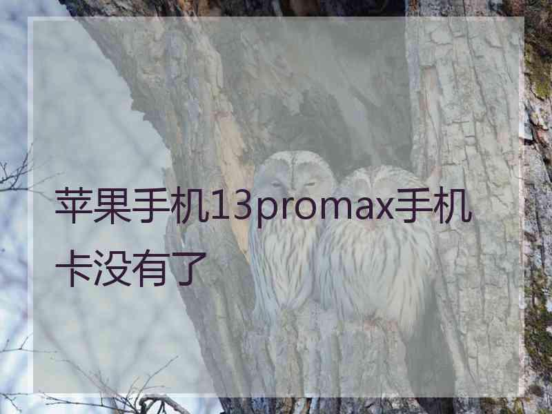 苹果手机13promax手机卡没有了