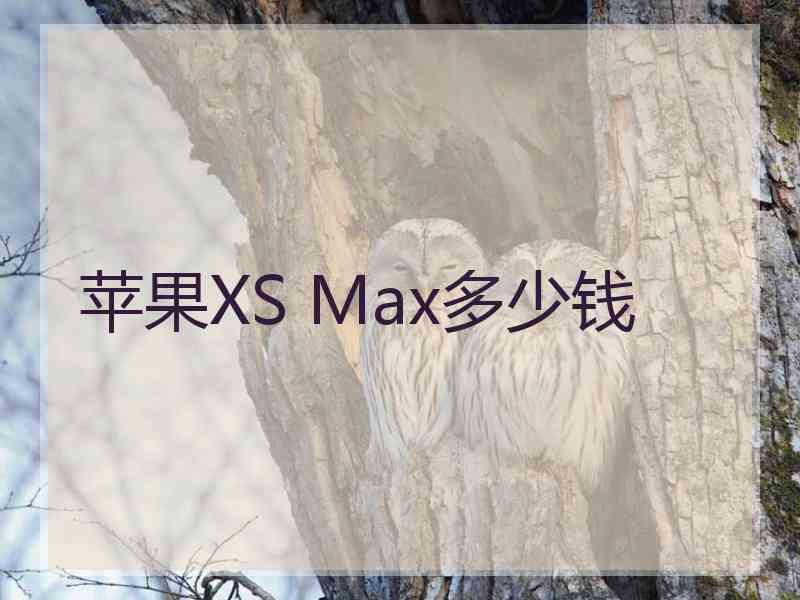 苹果XS Max多少钱