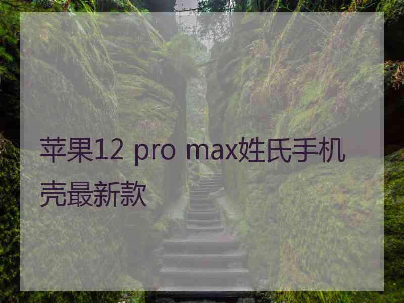 苹果12 pro max姓氏手机壳最新款