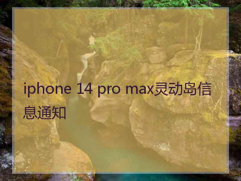 iphone 14 pro max灵动岛信息通知