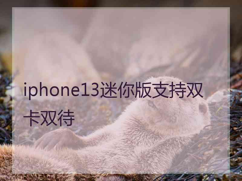 iphone13迷你版支持双卡双待