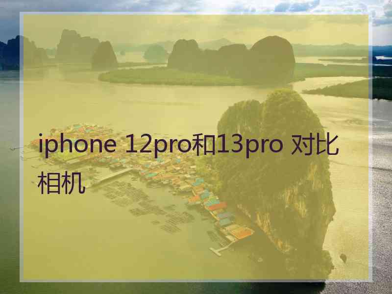 iphone 12pro和13pro 对比相机