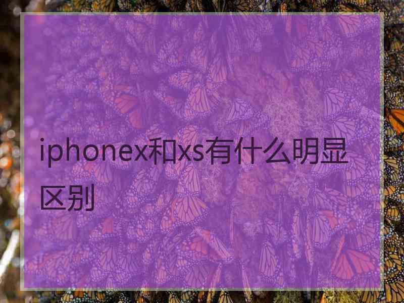 iphonex和xs有什么明显区别