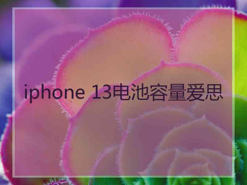 iphone 13电池容量爱思