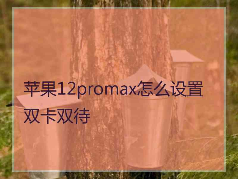 苹果12promax怎么设置双卡双待