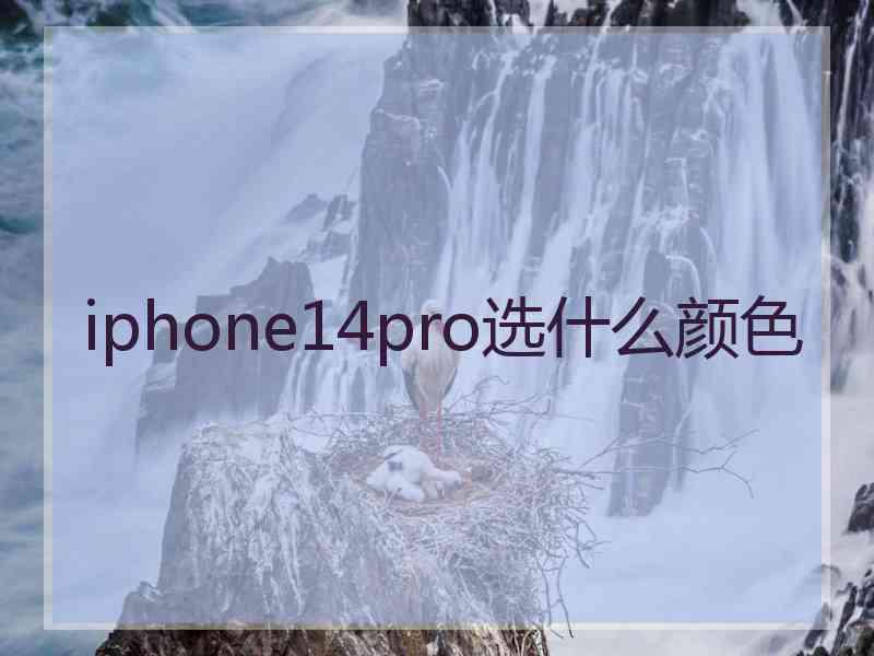 iphone14pro选什么颜色