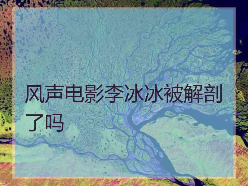 风声电影李冰冰被解剖了吗