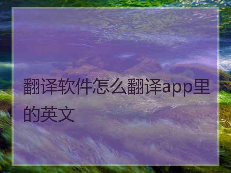 翻译软件怎么翻译app里的英文