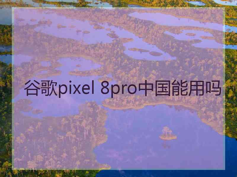 谷歌pixel 8pro中国能用吗